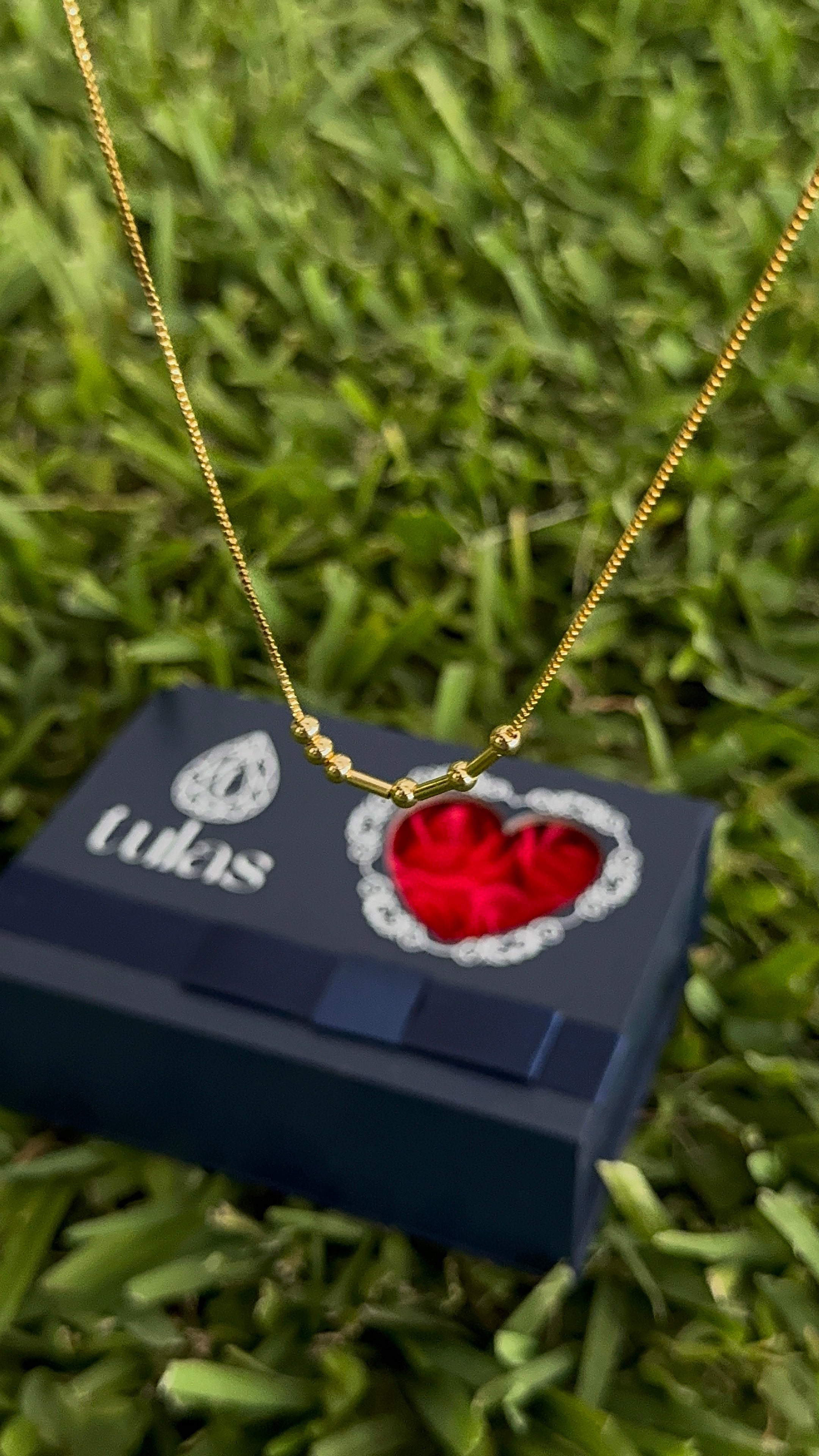 Gift Box